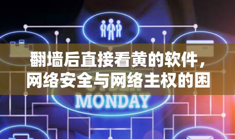 翻墙后直接看黄的软件,网络安全与网络主权的困境与挑战 翻墙后直接看黄的软件,网络安全与网络主权的困境与挑战