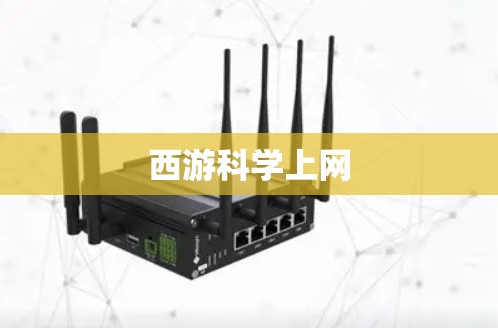 西游科学上网 西游科学上网