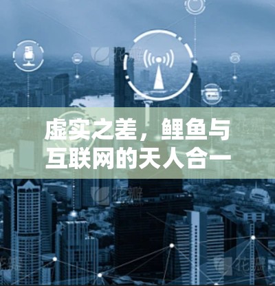 虚实之差,鲤鱼与互联网的天人合一 虚实之差,鲤鱼与互联网的天人合一