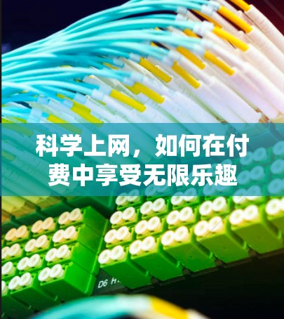 科学上网，如何在付费中享受无限乐趣