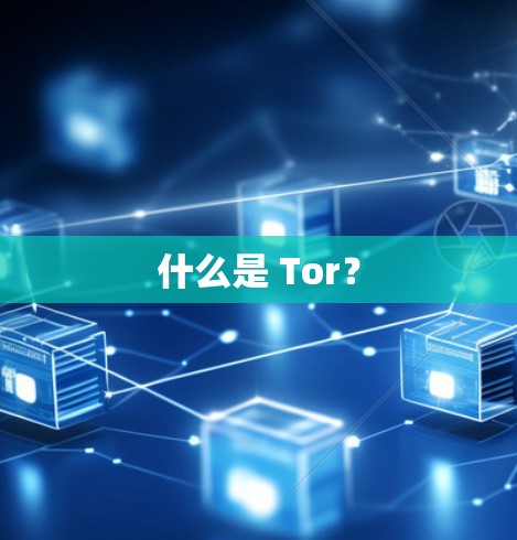 什么是 Tor？