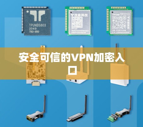 安全可信的VPN加密入口 安全可信的VPN加密入口