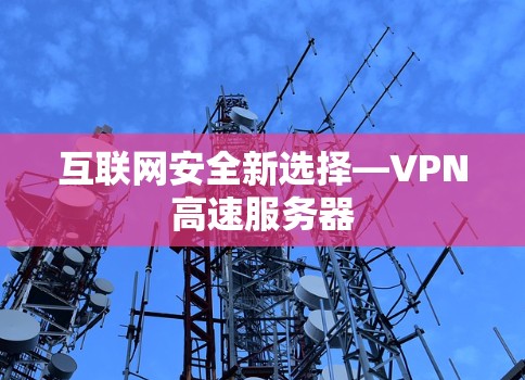 互联网安全新选择—VPN高速服务器
