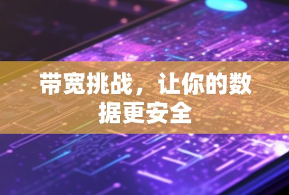 带宽挑战,让你的数据更安全 带宽挑战,让你的数据更安全