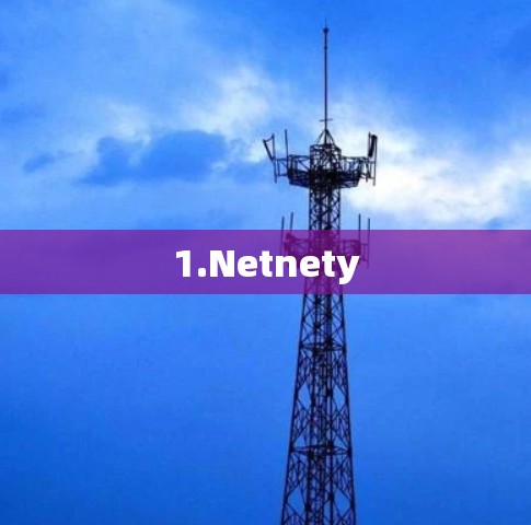 1.Netnety 1.Netnety