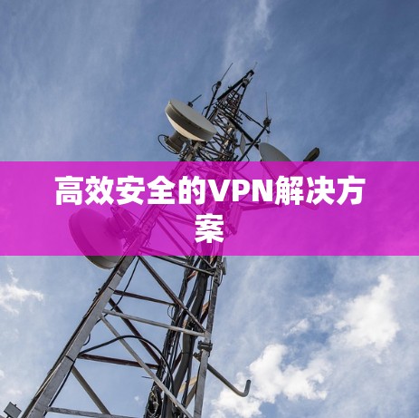 高效安全的VPN解决方案 高效安全的VPN解决方案