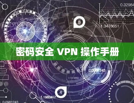 密码安全 VPN 操作手册