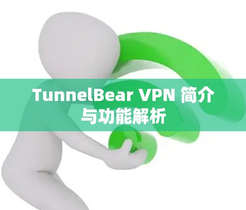 TunnelBear VPN 简介与功能解析