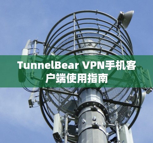 TunnelBear VPN手机客户端使用指南