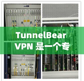 TunnelBear VPN 是一个专业的安卓VPN解决方案，提供高级功能和性能优化。以下是一步-by-step的使用步骤