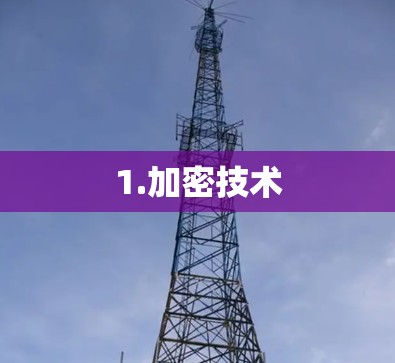 1.加密技术