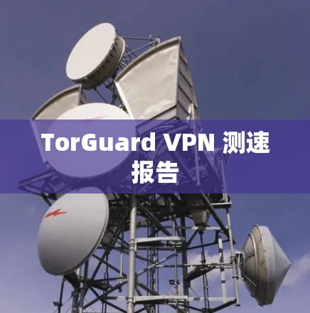TorGuard VPN 测速报告