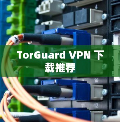 TorGuard VPN 下载推荐