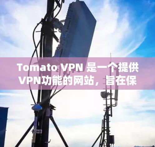 Tomato VPN 是一个提供VPN功能的网站，旨在保护用户隐私并提供安全的网络连接。以下是下载Tomato VPN的详细步骤