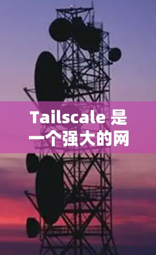 Tailscale 是一个强大的网络和容器管理工具，适合用于云网络和容器化应用的配置和管理。以下是对 Tailscale 配置的详细步骤