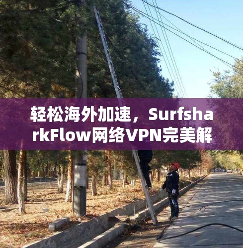 轻松海外加速，SurfsharkFlow网络VPN完美解决方案