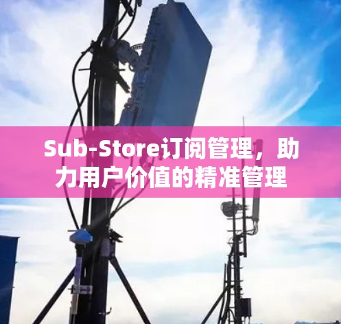 Sub-Store订阅管理，助力用户价值的精准管理