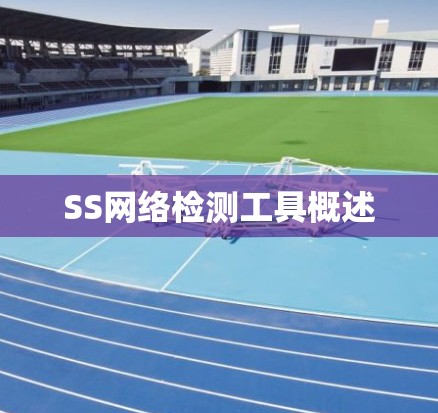 SS网络检测工具概述