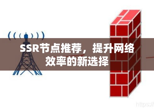 SSR节点推荐,提升网络效率的新选择 SSR节点推荐,提升网络效率的新选择