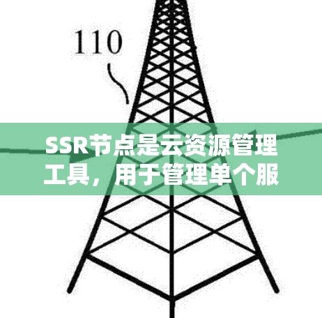 SSR节点是云资源管理工具,用于管理单个服务器资源。以下是详细的使用步骤 SSR节点是云资源管理工具,用于管理单个服务器资源。以下是详细的使用步骤