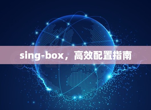 sing-box,高效配置指南 sing-box,高效配置指南