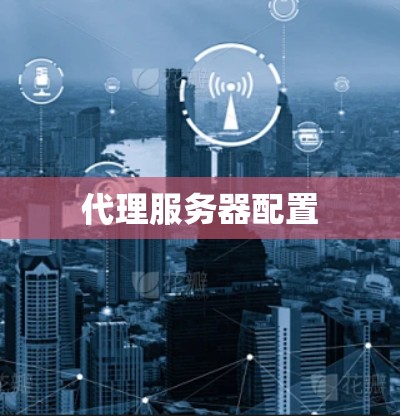 代理服务器配置 代理服务器配置