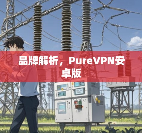 品牌解析，PureVPN安卓版