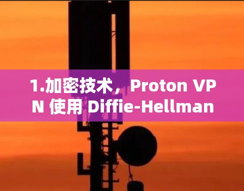 1.加密技术，Proton VPN 使用 Diffie-Hellman 椭圆曲线加密，这是一种高度安全的技术，通常被认为比 RSA 加密保护更稳健