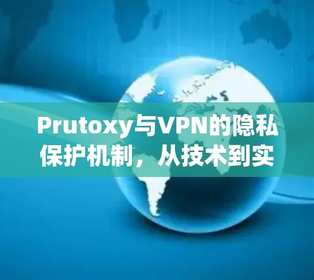 Prutoxy与VPN的隐私保护机制，从技术到实践