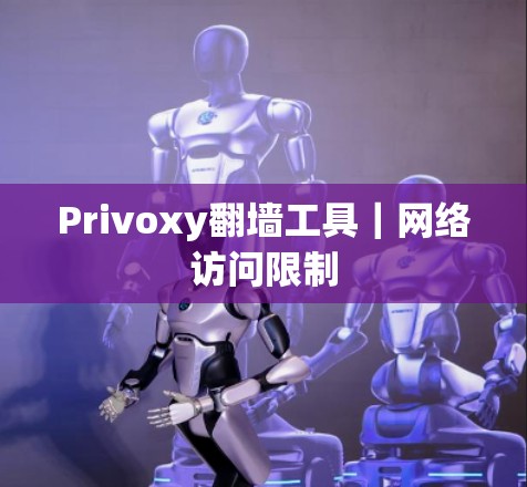Privoxy翻墙工具｜网络访问限制