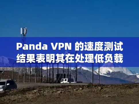 Panda VPN 的速度测试结果表明其在处理低负载请求时表现优异,但在高负载时响应时间变长。以下是详细的分析