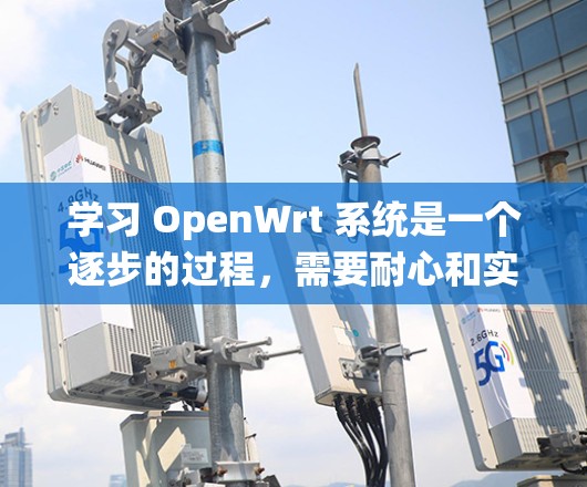 学习 OpenWrt 系统是一个逐步的过程,需要耐心和实践。以下是一个有条理的步骤指南,帮助你系统地学习和使用 OpenWrt